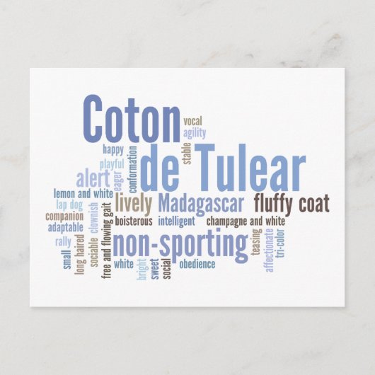 Coton de Tulear Briefkaart (Voorkant)