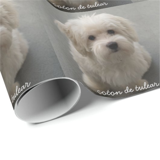 Coton de Tulear Cadeaupapier (Rol Hoek)