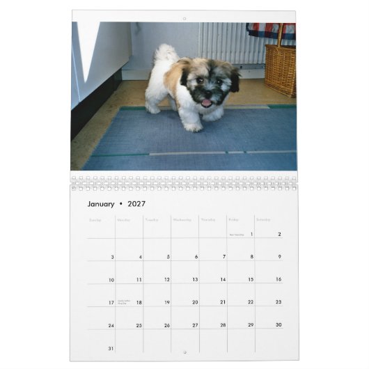 coton de tulear Calendar Kalender (Jan 2027)