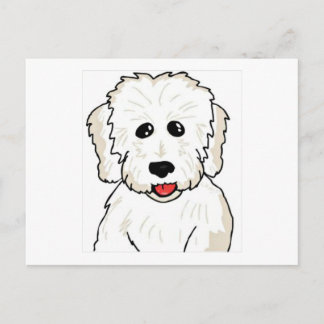 Coton de Tulear Caricature Briefkaart