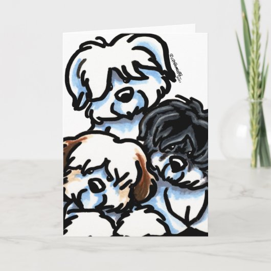 Coton de Tulear Cartoon Kaart (Voorkant)