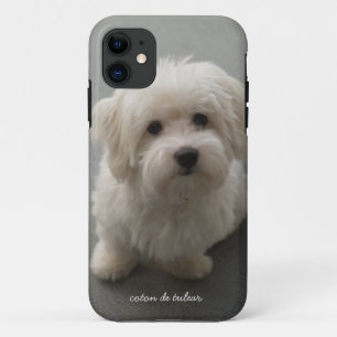 Coton de Tulear iPhone 11 Hoesje