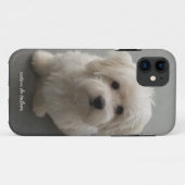 Coton de Tulear Case-Mate iPhone Case (Achterkant (horizontaal))