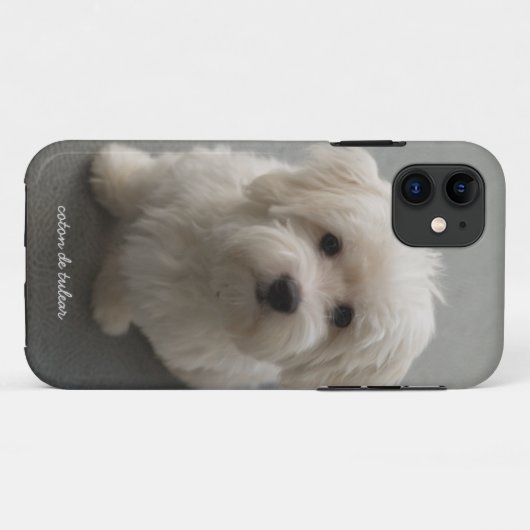 Coton de Tulear Case-Mate iPhone Case (Achterkant (horizontaal))