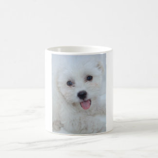 Coton De Tulear Coffee Cup Koffiemok