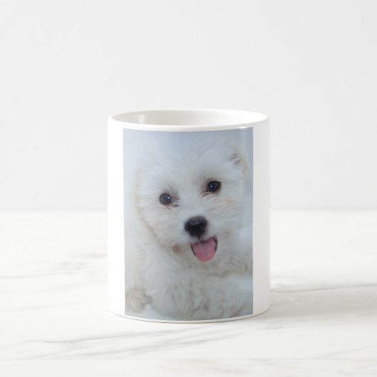 Coton De Tulear Coffee Cup Koffiemok (Center)
