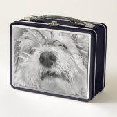 Coton de Tulear dog (Voorkant)