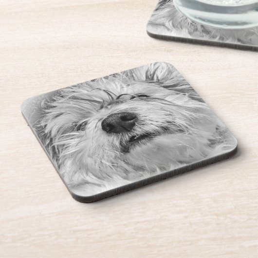 Coton de Tulear dog Bier Onderzetter (Linkerzijde)