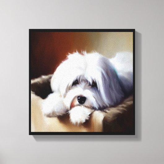 Coton de Tulear Dog Canvas Afdruk (Voorkant)