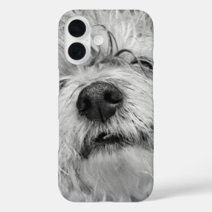 Coton de Tulear dog iPhone 16 Hoesje