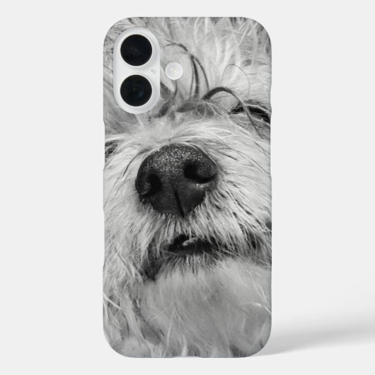 Coton de Tulear dog Case-Mate iPhone Case (Achterkant)