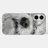 Coton de Tulear dog Case-Mate iPhone Case (Achterkant (horizontaal))