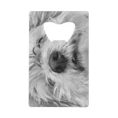 Coton de Tulear dog Creditkaart Flessenopener (Voorkant)
