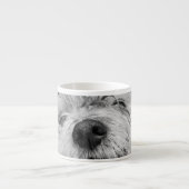 Coton de Tulear dog Espresso Kop (Voorkant)