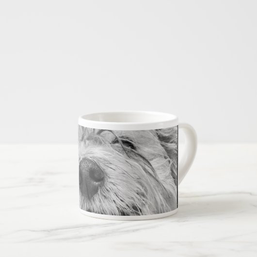 Coton de Tulear dog Espresso Kop (Voorkant rechts)