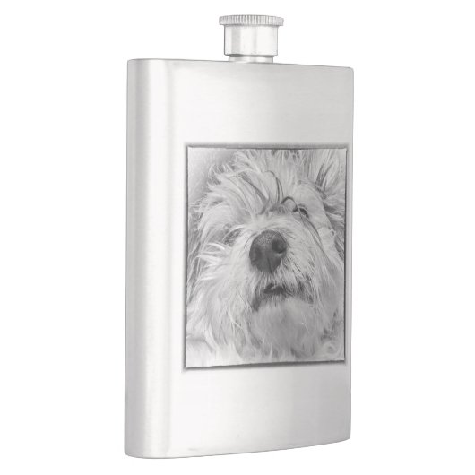 Coton de Tulear dog Flacon (Rechts)