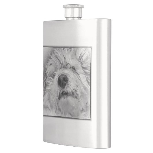 Coton de Tulear dog Flacon (Links)