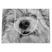 Coton de Tulear dog Groot Cadeauzakje (Voorkant)