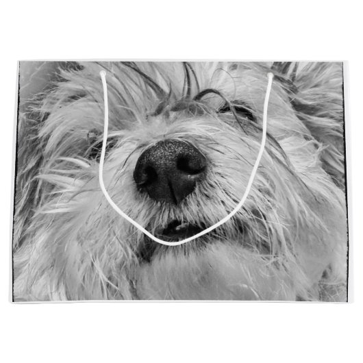 Coton de Tulear dog Groot Cadeauzakje (Voorkant)