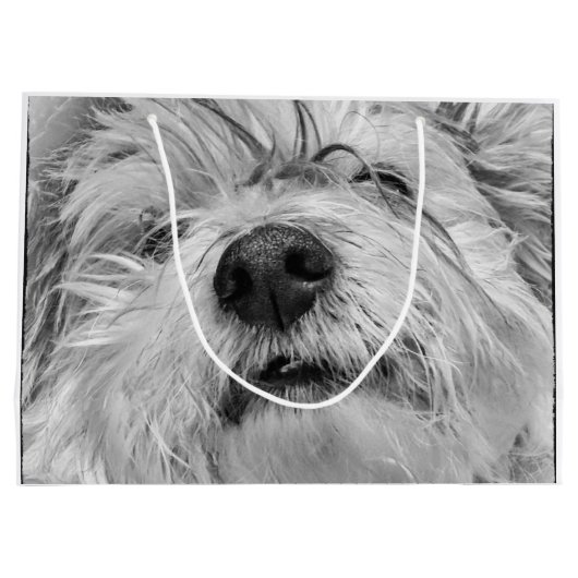 Coton de Tulear dog Groot Cadeauzakje (Achterkant)