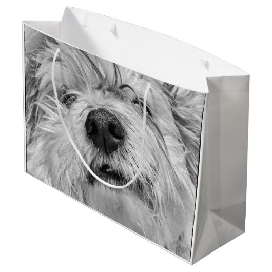Coton de Tulear dog Groot Cadeauzakje (Achterkant Gekanteld)