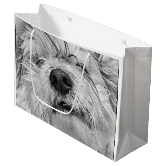 Coton de Tulear dog Groot Cadeauzakje (Voorkant Gekanteld)