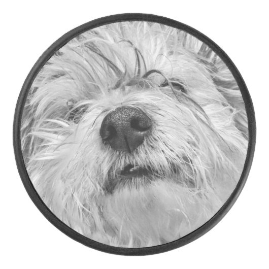 Coton de Tulear dog Hockey Puck (Voorkant)