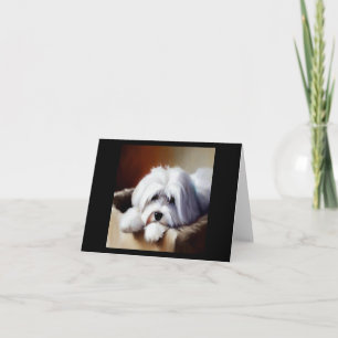 Coton de Tulear Dog Kaart