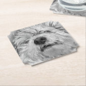 Coton de Tulear dog Kartonnen Onderzetters (Gekanteld)
