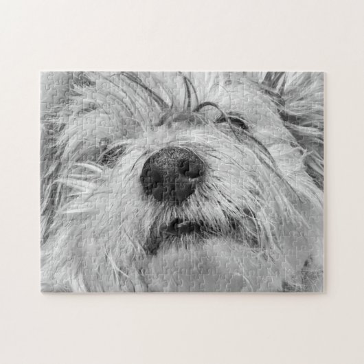 Coton de Tulear dog Legpuzzel (Horizontaal)