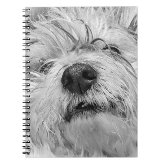 Coton de Tulear dog Notitieboek (Voorkant)