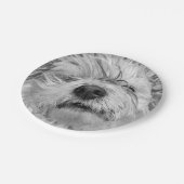 Coton de Tulear dog Papieren Bordje (Gekanteld)