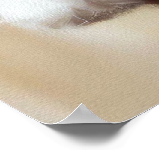 Coton de Tulear Dog Poster (Hoek)