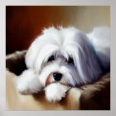 Coton de Tulear Dog Poster (Voorkant)