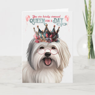 Coton de Tulear Dog Queen for a Day Funny Birthday Kaart