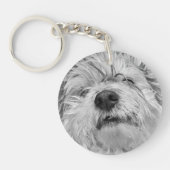 Coton de Tulear dog Sleutelhanger (Voorkant)