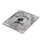 Coton de Tulear dog Tegeltje (Zijkant)