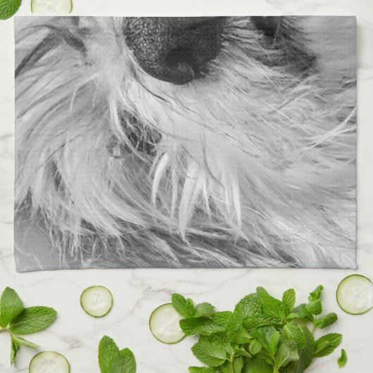 Coton de Tulear dog Theedoek (Gevouwen)