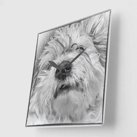 Coton de Tulear dog Vierkante Klok (Hoek)