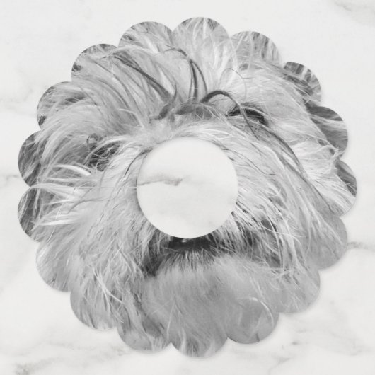 Coton de Tulear dog Wijnglaslabel (Achterkant)