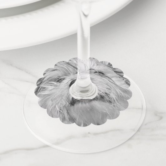 Coton de Tulear dog Wijnglaslabel (Dichtbij)