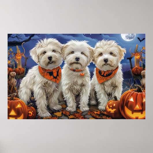 Coton De Tulear Halloween Spookachtig Poster (Voorkant)