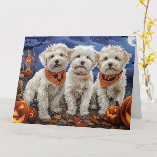 Coton De Tulear Halloween Spooky Kaart (Gele Bloem)