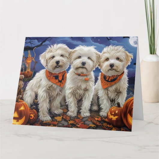 Coton De Tulear Halloween Spooky Kaart (Voorkant)