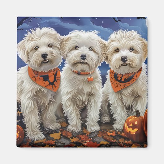 Coton De Tulear Halloween Spooky Magneet (Voorkant)