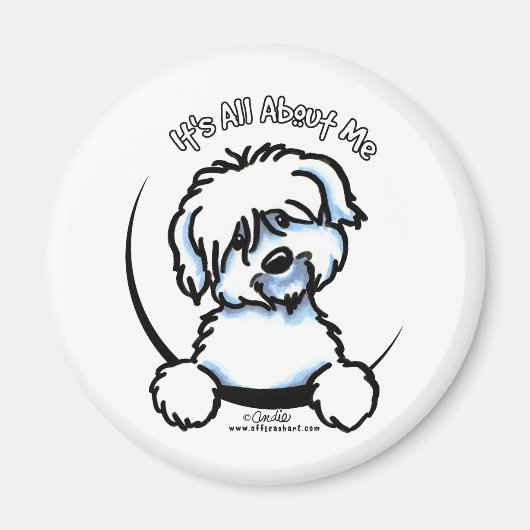Coton de Tulear heeft alles over mij Magneet (Voorkant)