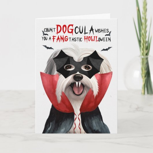 Coton De Tulear Hond Count DOGcula Grappig Hallowe Feestdagen Kaart (Voorkant)