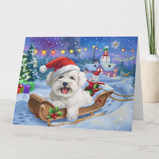 Coton De Tulear Hond in Sleigh Sneeuw Kerstmis Kaart (Voorkant)
