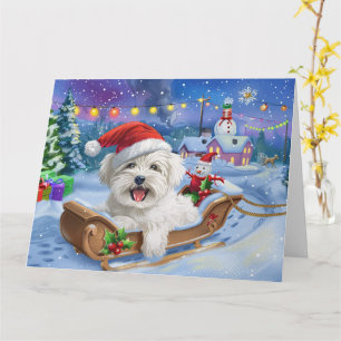 Coton De Tulear Hond in Sleigh Sneeuw Kerstmis Kaart