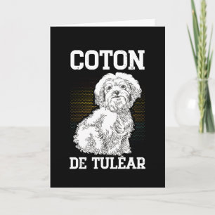 Coton de Tuléar Hond Owner Coton de Tulears Kaart